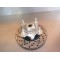 Moyeux + disque de frein avant TGB 550 BLADE SE FI