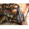 Cadre + carte grise TGB 550 BLADE SE FI 2012 