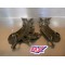 Protections de cadre Sherco 250/350 SEF 2024