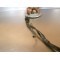Stator d'allumage Suzuki 125 TS