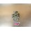 Carburateur Suzuki 125 TS