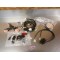 Kit homologation SHERCO 125/250/350 SE/SEF