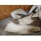 Kit plastique Honda 125/250 2000-2001