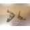 Cales pieds + supports Yamaha 600 XT Type 2KF