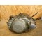 Bas moteur Yamaha 600 XT 2KF (Bielle HS) 