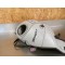 Protection de réservoir TOP SELLERIE Honda 650 Transalp