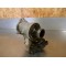 Moteur de pont avant Can-Am 400 OUTLANDER EFI