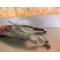 Support de plaque + feux arrière KTM EXC 2004-2007