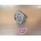 Carburateur GURTNER AR2-12 Réglage 705 (Moteur Motobécane AV7)