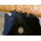 Protection de réservoir BAGSTER Kawasaki ZR7