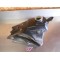 Réservoir d'essence Yamaha 250 YZF 2006-2009