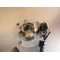 Stator d'allumage Yamaha 250 YZF 2006-2009