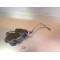 Réservoir d'huile Honda 125 CRM