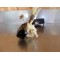 Boitier CDI Suzuki 125 TSR