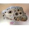 Carters moteur Kawasaki 450 KXF 2012-2014