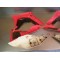 Kit plastique Honda 250/450 CRF 2017-2021