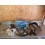 Kit homologation SHERCO 250/300 SE