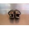 Cales pieds passager Derbi 50 Fenix