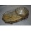 Carter transmission TGB 460 BLADE