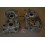 Carters moteur Yamaha 125 DTMX