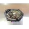 Carter embrayage HONDA CB 125 JX 