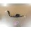 Porte fusible YAMAHA 500 Tmax