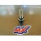 Ampoule, phare Yamaha YXR 450/660 RHINO/YFM 250/350 BRUIN/GRIZZLY 5FU-H4314-10