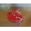 Protection de disque Honda 250 CRF 2004/2008 