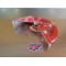 Protection de disque Honda 250 CRF 2004/2008 