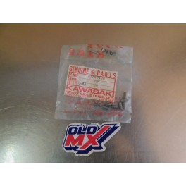 Pions de Barrillet de sélection Kawasaki 610A0408