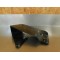 Protection de chaine Kawasaki KDX125 1990-93,99 56031-1715