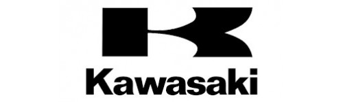 Kit déco Kawasaki